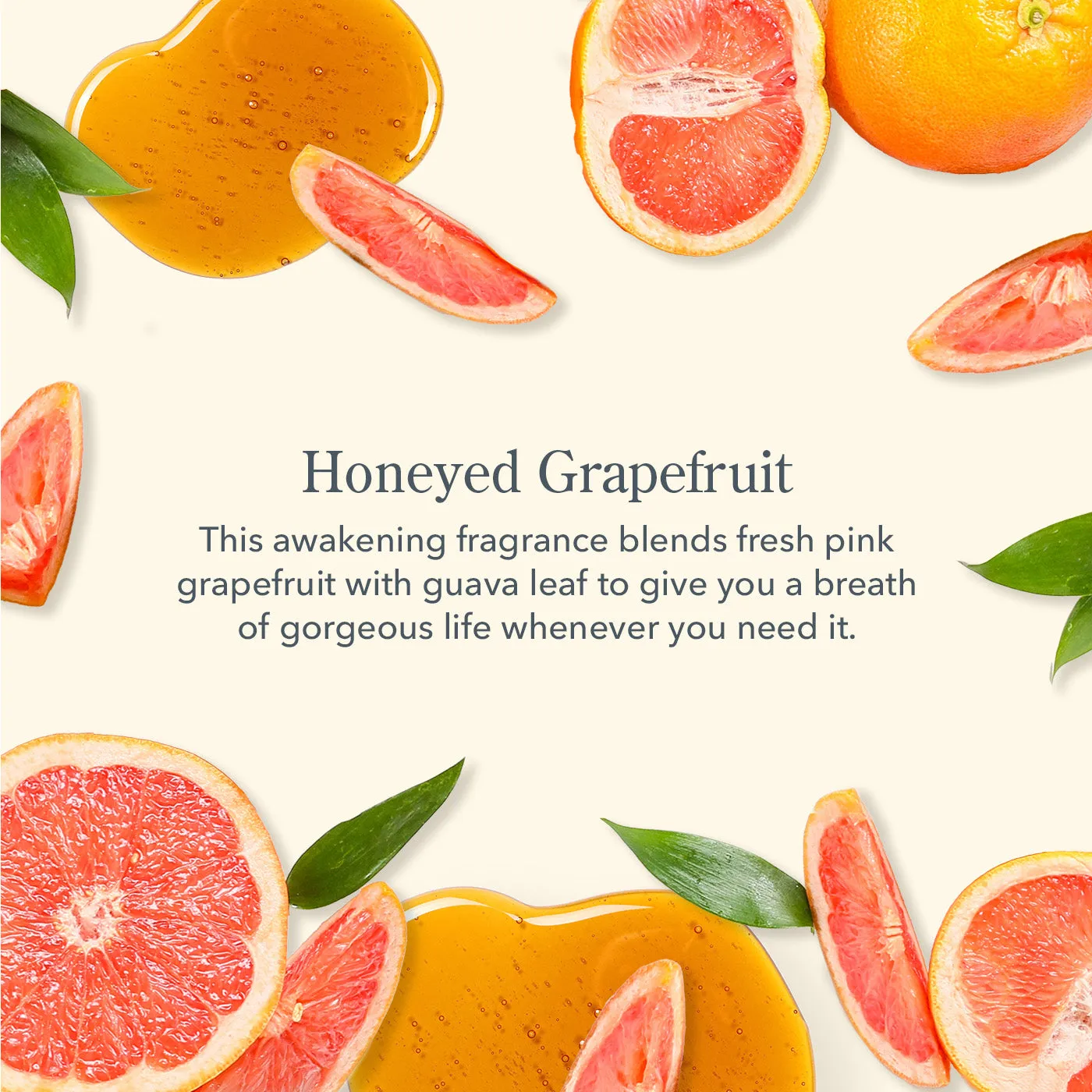 Honeyed Grapefruit Hand Cream Set of 3